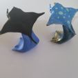 230X230-20210226-120701.jpg Manta Ray on Wave