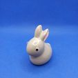 1615917742531.jpg Small rabbit - Petit Lapin
