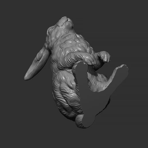 13.jpg Rabbit sitting