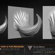 60-VDM-and-Alpha-Hair-and-Fur-Brushes-for-ZBrush-Sculpted-By-Yacine-BRINIS-Volume-01-Set-014.jpg 60 VDM and Alpha Texture Hair and Fur Brushes Volume 01