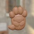 IMG_1455.jpeg Patas