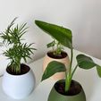 447526830_1129903168246430_3402721388286638246_n.jpg KAPKA self watering planter