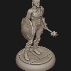 shad1.jpg STL file Alternative Shadowheart DnD miniature | Baldurs gate 3 | Half-elf priest |by Deltorvik・3D printer model to download