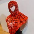 Bust Spiderman