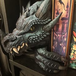 Dragon Emerging Book Nook - Edición Cabeza y Cola
