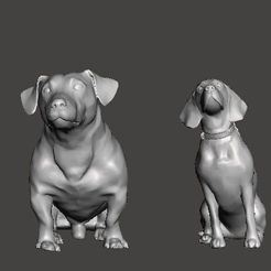 IMG_20201009_090215_538.jpg Archivo STL gratis Dog collection・Plan imprimible en 3D para descargar