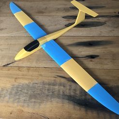 e1b24a72-3b2e-4580-9b29-687ea9a7fdcd.jpg Free 3D file Nexus 900 RC Glider・3D printer design to download