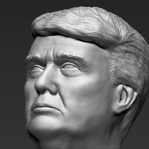 president-donald-trump-bust-ready-for-full-color-3d-printing-3d-model-obj-mtl-stl-wrl-wrz (38).jpg Download STL file President Donald Trump bust 3D printing ready stl obj • Model to 3D print, PrintedReality