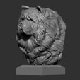 chow-chow6.jpg Modèle imprimé en 3D du buste de Chow Chow