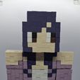 20250815_161651_A.jpg Minecraft Aphmau play figure