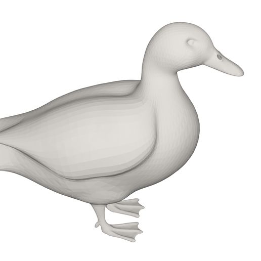 10003.jpg Duck