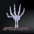 Skull_Hand_Cover_1.png Skeleton Hand Spooky Bony Hand / Halloween Ornament 🦴