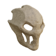 Terror-Mask-Splatterhouse-2010-Anfas.png Terror Maske - Splatterhouse (2010)