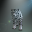 0_00011.png TIGER TIGER - DOWNLOAD TIGER 3d model - animated for blender-fbx-unity-maya-unreal-c4d-3ds max - 3D printing TIGER TIGER - CAT - FELINE - MONSTER - RAPTOR PREDATOR