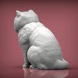 Exotic-Shorthair-Snoopy3.jpg Exotic Shorthair Snoopy cat 3D print model
