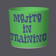 13-mojito-training.jpg Punny Planter 13 - Mojito in training