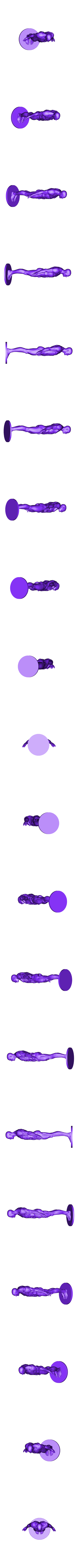 anatomy_ref.STL Anatomy reference