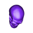 T3d_skull_orient.stl Fichier STL gratuit Crâne・Idée pour impression 3D à télécharger