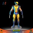 V019_MARVEL_WOLVERINE_5.jpg V040 - MARVEL WOLVERINE X3 PACK