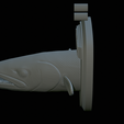 Barracuda-solo-model-19.png fish head great barracuda trophy statue detailed texture for 3d printing