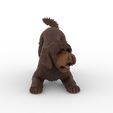 bbb5.jpg Playful Barbet Dog Figure 1/32 Scale for Slot Car Dioramas