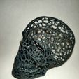 IMG20201203222820.jpg Voronoi Skull 3D print model