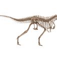2.jpg Esqueleto completo de Albertossauro