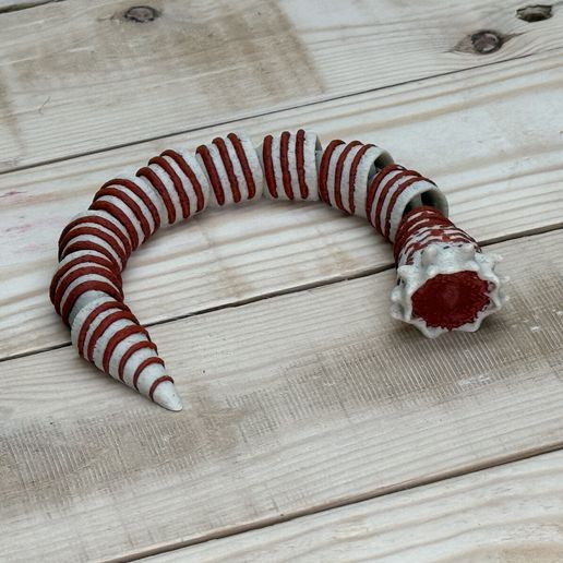 IMG_0403.jpeg Mini sandworm