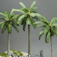 _1580109.jpg Кокосовые пальмы для 3D печати 3D печать модели