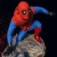 9.jpg Spider-Man Homemade Suit