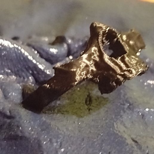 Skull Fragment Ring 3D model