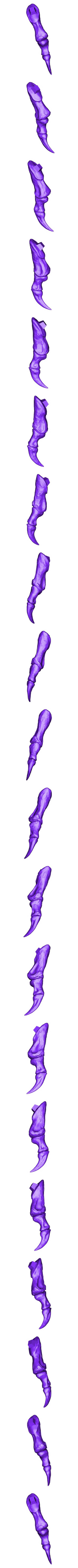 Metatarsals_Right_Part_03.OBJ Scheletro di piccolo T-rex a grandezza naturale - Parte 03/10