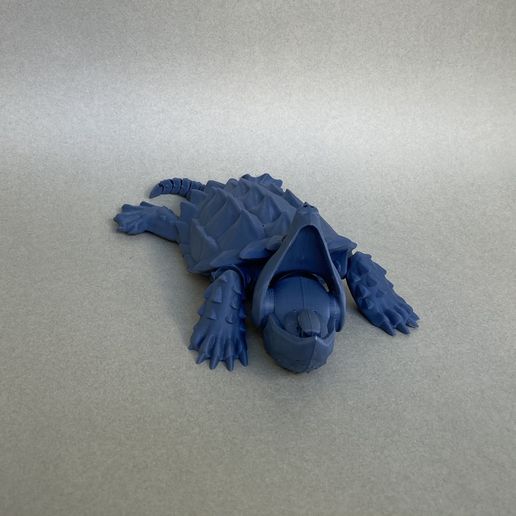 IMG_E0553.jpg Alligator-Schnappschildkröte