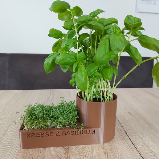 Kitchen Herb - Herb bowl3D Print with the SOVOL SV 06 Plus 3D  printerCults