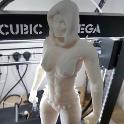 20191229_145558.jpg Free STL file Mortal kombat girl・Model to download and 3D print
