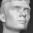 19.jpg Tommy Shelby from Peaky Blinders bust 3D printing ready stl obj