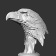 06.png Bald Eagle Head AM07 3D print model