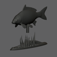 carp-podstavec-high-quality-1-7.png big carp underwater statue detailed texture for 3d printing