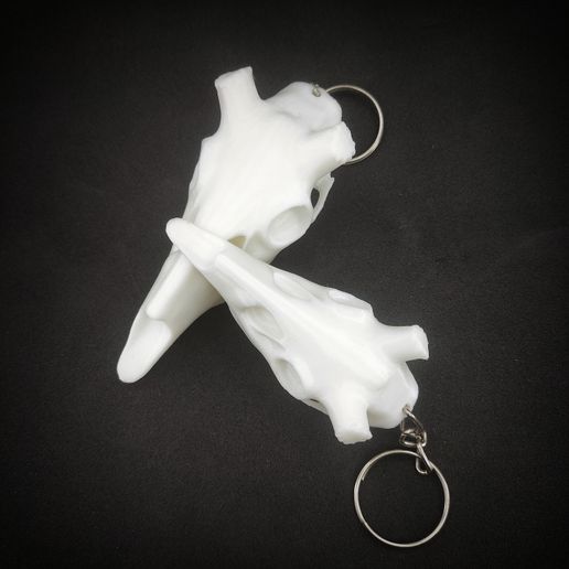 IMG_20241018_010011.jpg Halloween Deer Skull Keychain