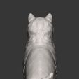 shiba-inu15.jpg shiba inu 3D print model