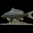 carp-podstavec-high-quality-1-4.png big carp underwater statue detailed texture for 3d printing