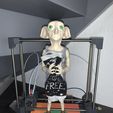 DOBBY - Harry Potter