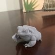 IMG_7915.jpeg Frog With A Gun