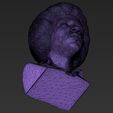 27.jpg Jimi Hendrix bust 3D printing ready stl obj