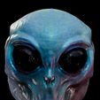 IMG_1682.jpg Become a Roswell Alien with our 3D Full Face Mask!