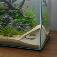 tunel-31-render-2.png Tunel para peces 31 - acuario - fish tank
