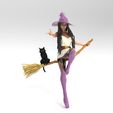 1.70.jpg Witch on a broom with a cat