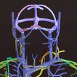 PSfinal0003.jpg Human venous system schematic 3D