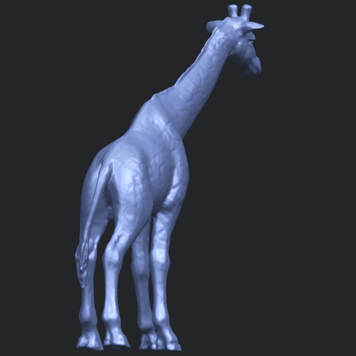 08_TDA0602_GiraffeB05.png Giraffe