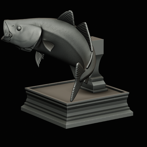 coalfish-open-mouth-statue-box-56.png COALFISH / POLLACHIUS VIRENS trophy with storage space for 3d printing